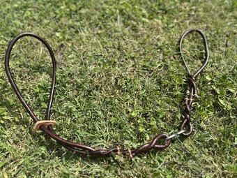 Predám vystavovanie vodítka pre malé aj veľké plemená psov - 4