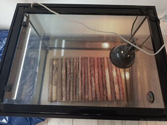 Terárium 60x45x45 - 4