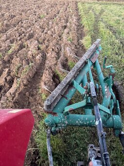 Predam trojak pluh 35hlavy - 4