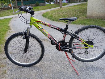 bike Torpado Viper 24 s odpruženou vidlicou - 4