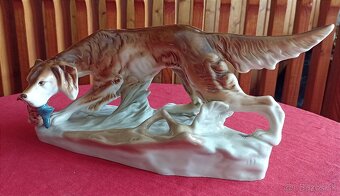 Royal dux - polovnicky pes - 4