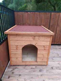 Buda pre psa, psia buda, búda pre mačky - 4