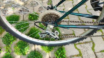 Horský bicykel Piranha - 4