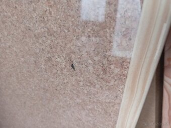 Korkové tabule 90x60cm - 4