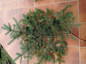 Čerstvá čečina - 4