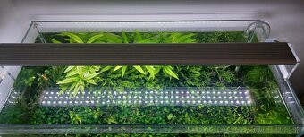 Predám akvarium 60 litr, optiwhite - 4