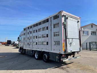 DAF 2008 VIN 417 preprava dobytka - 4