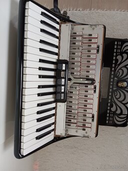 Harmonika-Akordeon - 4