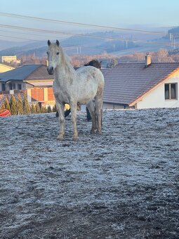 Valach - 4