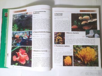 Veľký atlas húb - 4