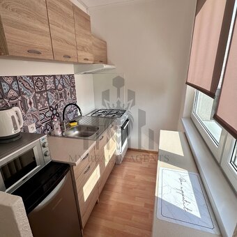 Jednoizbový 28m2 byt + kumbál na Terase - 4
