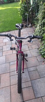 Bicykel Dema 24 – Sen každej malej cyklistky - 4