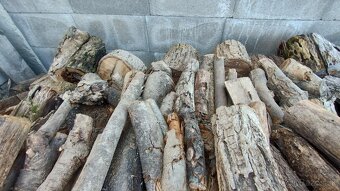 Predam palivove drevo - 4