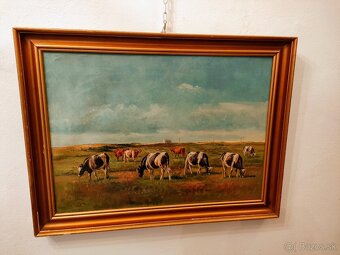 OLEJ KRAVY NA PAŠI - 4