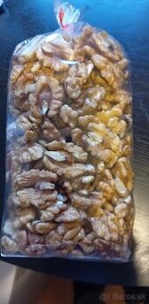 Orechy tohtoročné vlašské - 4