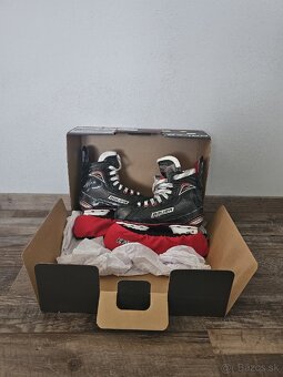 Bauer - celý set - 4