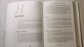 The natural Physician's Healing Therapies by Mark Stengler - 4
