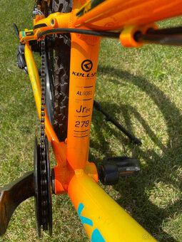 Kellys Kiter - 4