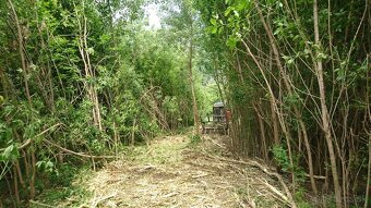 Lesná fréza FECON FTX140 FM - 4