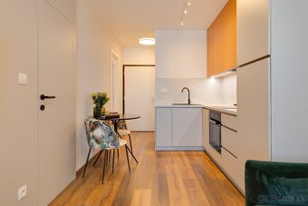 NEO / PREDAJ / INVESTIČNÝ 1,5-IZBOVÝ BYT - ARBORIA, Trnava - 4