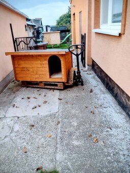 Zateplená búda pre psa - 4