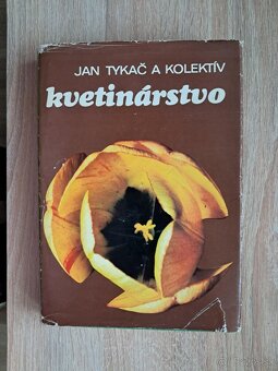 NEZIDE SA VAM - - 4