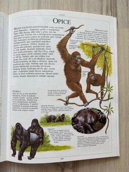 Detská ilustrovaná encyklopédia - Živý svet - 4