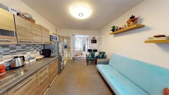 EXKLUZÍVNE, 2 IZBOVÝ BYT NA ULICI VEĽKÁ OKRUŽNÁ, 53m2 - 4