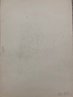 Josef Liesler - Pastierik - 4