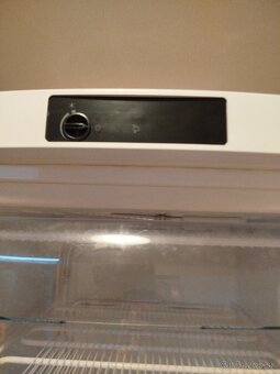 Mraznička Gorenje 270L - 4