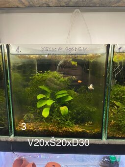 Za symbolickú cenu 20€ všetko - 4