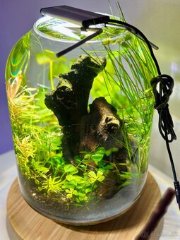 Mini akvarium 10l - 4