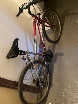 Detský/Dievčenský bike Piranha - 4