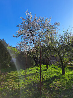 Záhrada s rodinným domom 1100 m2 - 4
