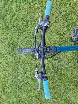 Predam Scott Contessa 20 - 4