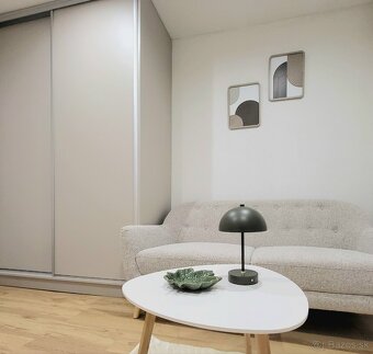 Jednoizbový byt s balkónom - 4