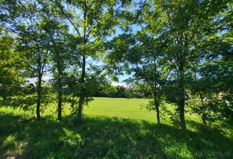 Dunakiliti–krásny pozemok na konci ulice,na začiatku prírody - 4