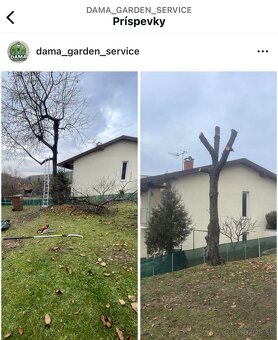 Kosenie prešov - 4