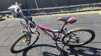 CTM Rocky 2.0 24" - 4