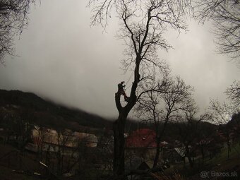 Orezávanie stromov - 4