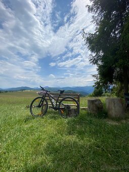 Éra specialized carbonovy dámsky Bike , S - 4