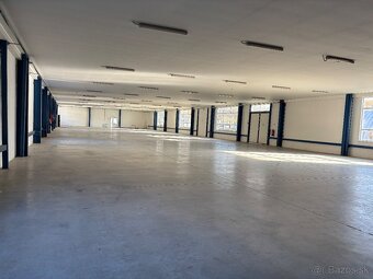 Haly na prenájom - 4