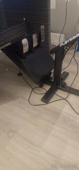 F1 Volant, Pedale, Playseat Evolution - 4