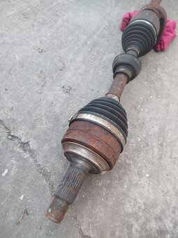 Crv poloos - 4