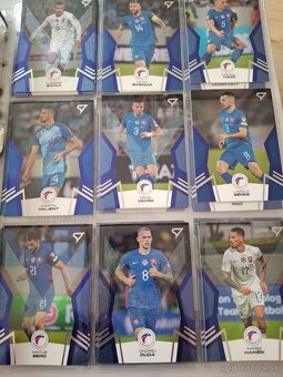 Slovenski sokoli 2024 - 4