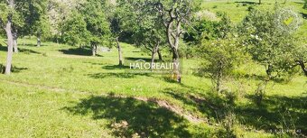 HALO reality - REZERVOVANÉ (prihláste sa na čakaciu listinu) - 4