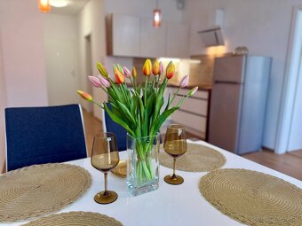 Predaj dvojizbový apartmán Nový Ružinov Bratislava. - 4