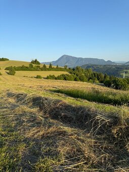 Ponúkam na predaj seno - 4