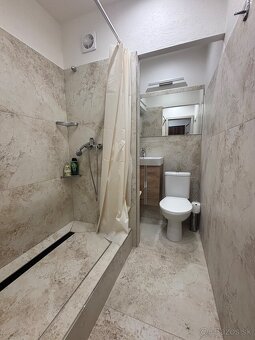 Jednoizbový byt v centre Levíc - 4