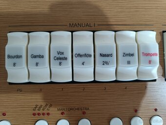 Cantorum VI plus - 4